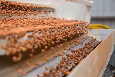 Close-up of cake for sale in store