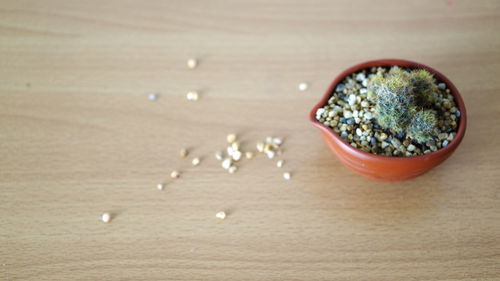 High angle view of food on table