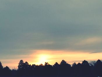 Silhouette trees in forest against sky at sunset