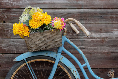 View of flowering plants in basket