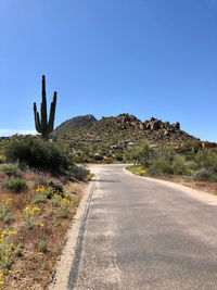Road amidst trees against clear blue sky