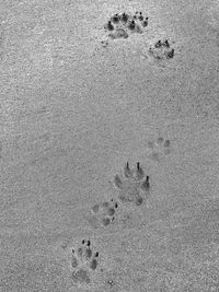 High angle view of footprints on sand