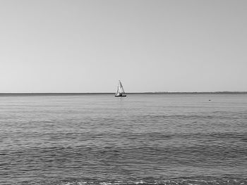 Sailboat sailing on sea against clear sky
