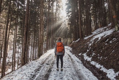 Hiker aged 20-25 is walking through the wilderness with his red backpack. magic hour