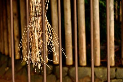 Bundle of hay hanging on metal fence