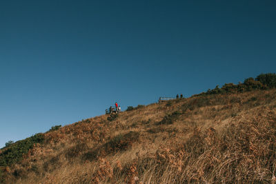 Man riding bicycle on field against clear blue sky