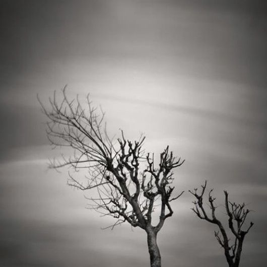 bare tree, branch, tranquility, silhouette, tree, nature, low angle view, sky, beauty in nature, dusk, tranquil scene, dead plant, growth, outdoors, scenics, no people, focus on foreground, twig, tree trunk, day