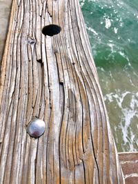 High angle view of shell on wood