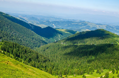 Hills with coniferous forest of a mountain range - kopaonik, serbia.