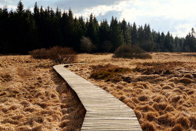 Dirt road amidst trees in forest against sky