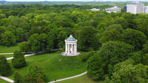 Trees and buildings in city