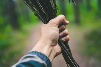 Cropped hand holding dry plants