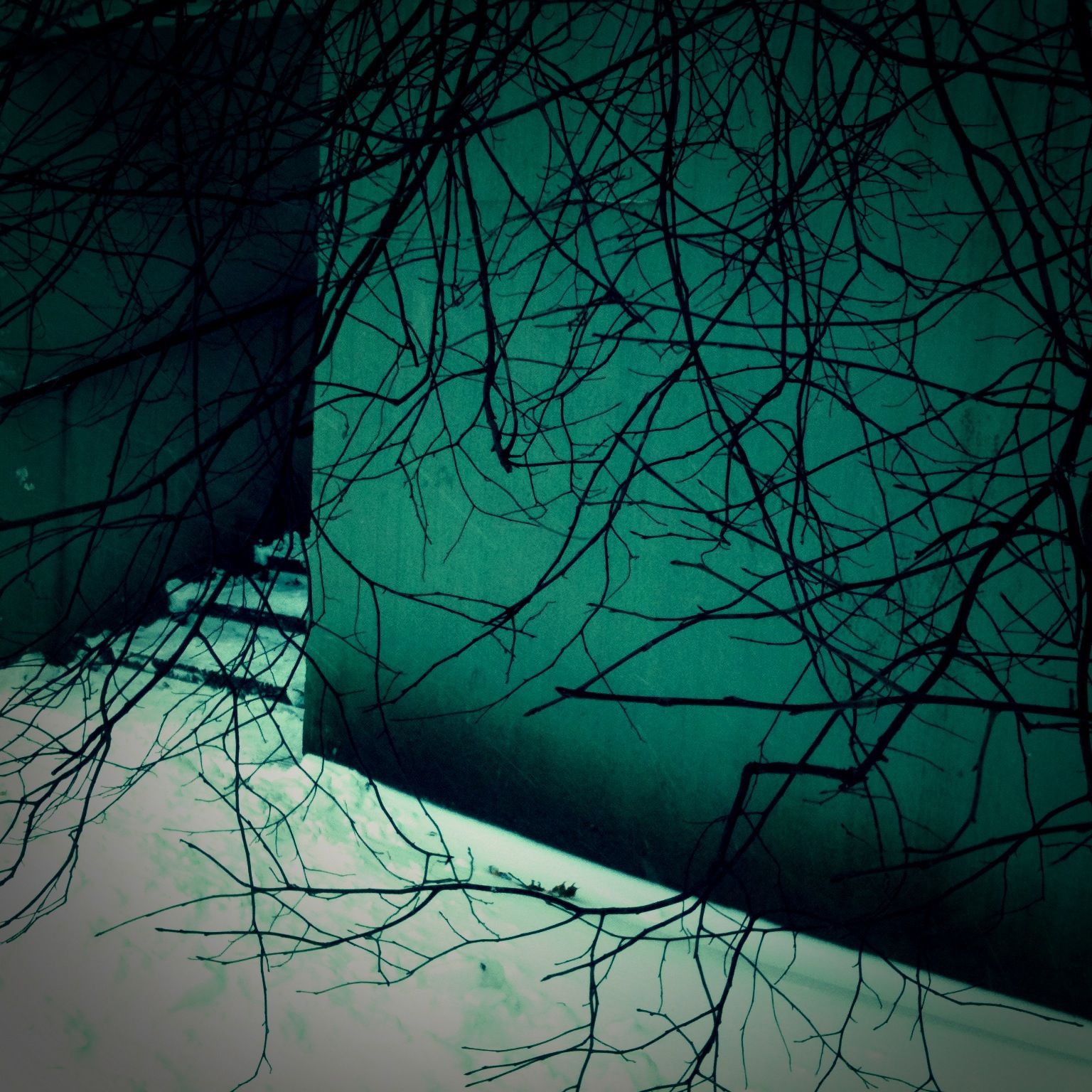 bare tree, branch, built structure, architecture, tree, building exterior, low angle view, reflection, sky, silhouette, blue, clear sky, no people, city, outdoors, nature, day, modern, building, water