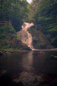 Scenic view of waterfall in forest