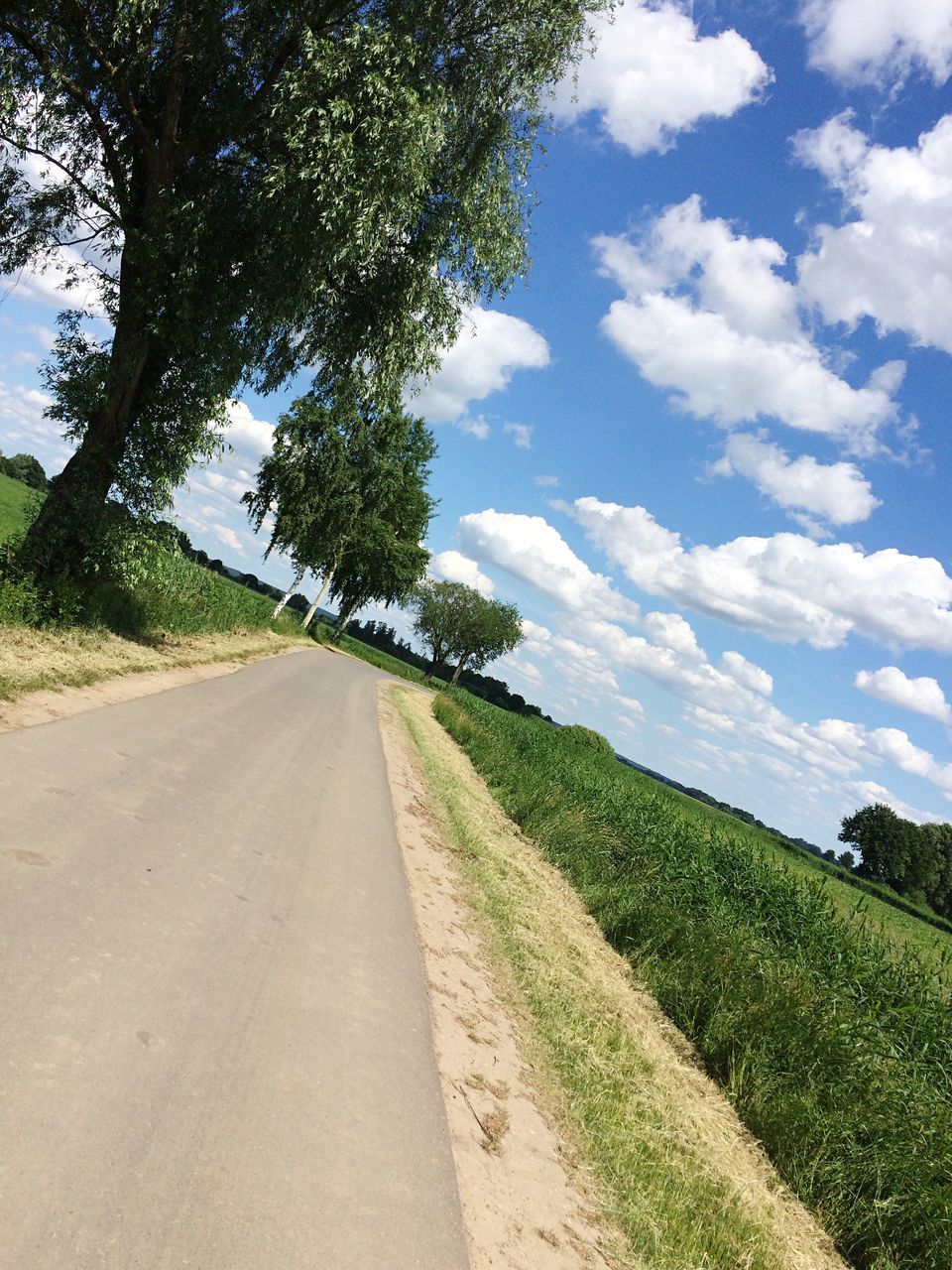 the way forward, sky, landscape, diminishing perspective, tree, road, transportation, tranquility, tranquil scene, vanishing point, dirt road, field, country road, grass, nature, rural scene, growth, cloud, scenics, cloud - sky