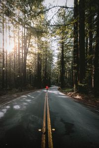 Road amidst trees in forest