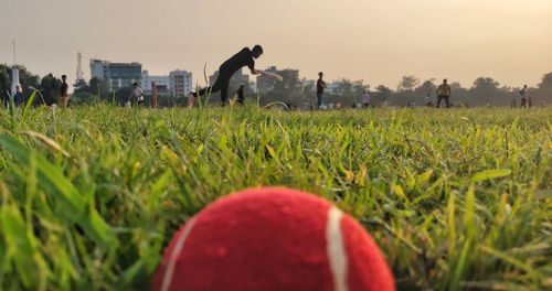 Dog running on field