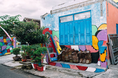 Multi colored potted plants outside building