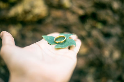 Close-up of cropped woman hand holding ring with leaf