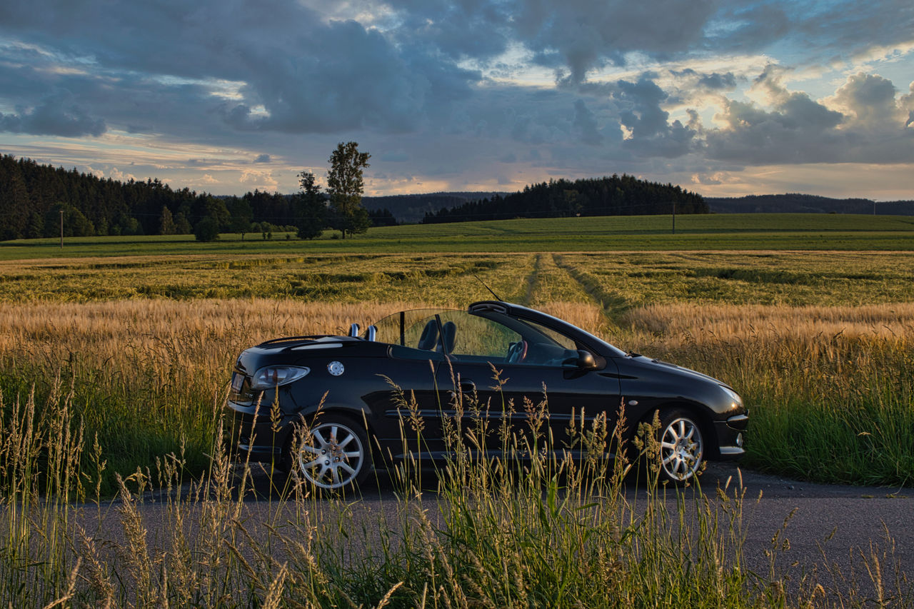 landscape, plant, transportation, sky, land, environment, mode of transportation, field, car, cloud, prairie, rural scene, nature, grass, rural area, natural environment, sunset, scenics - nature, motor vehicle, agriculture, plain, no people, vehicle, grassland, beauty in nature, travel, wilderness, farm, tree, land vehicle, non-urban scene, outdoors, tranquility, crop, horizon, cereal plant, reflection, dusk, day