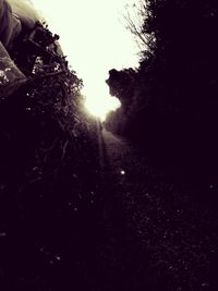 Low angle view of silhouette trees against sky at night