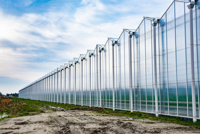 Row of greenhouses for growing vegetables. perspective effect.