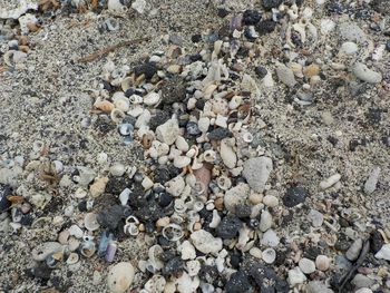 Full frame shot of stones