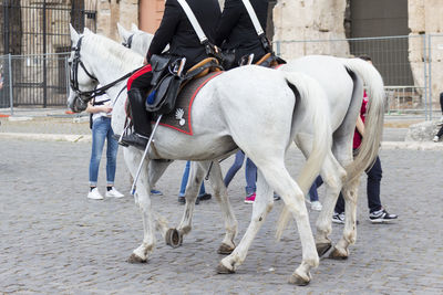 Low section of person riding horse on city street