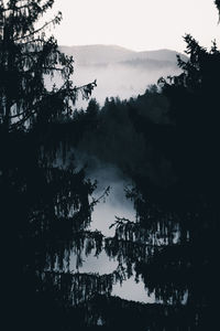 Silhouette trees by lake against sky during foggy weather