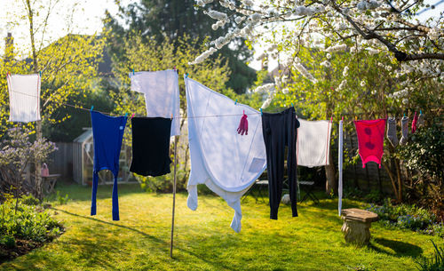 Clothes drying on field against trees