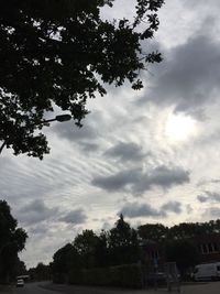 Trees on field against cloudy sky