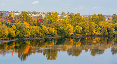 Reflection of trees in autumn