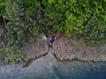 People in river amidst trees in forest