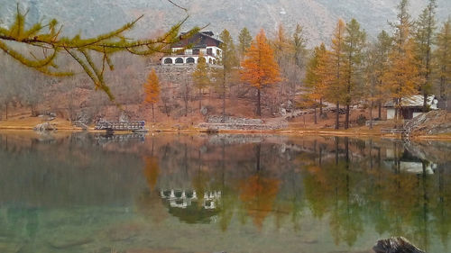 Scenic view of lake by trees during autumn