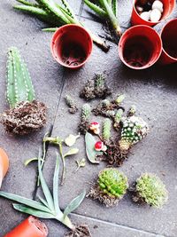 High angle view of vegetables on table