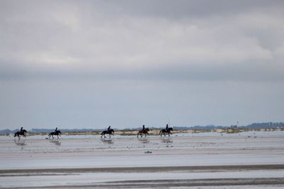 View of people horseriding on beach against sky