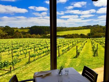 Scenic view of field against cloudy sky