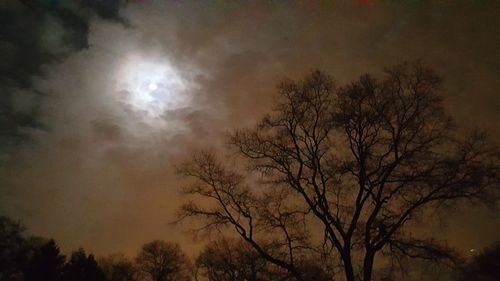 Low angle view of silhouette trees against sky at night