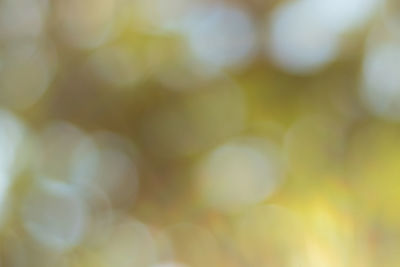 Full frame shot of abstract background