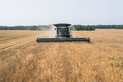 Aerial view of wheat harvest. drone shot flying over three combine harvesters working on wheat field