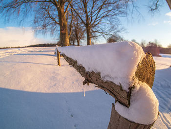 Bare tree on snow covered field against sky