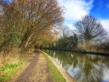 Bare trees by river against sky