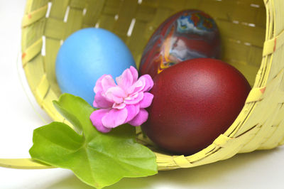 Close-up of easter eggs in basket against white background