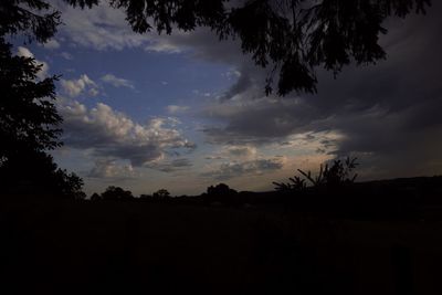 Silhouette trees on field against sky at sunset