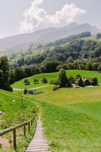 Scenic view of landscape against sky