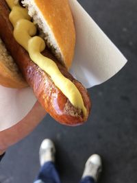 Low section of person with hot dog