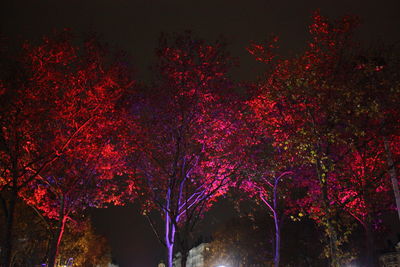 Red trees against sky at night