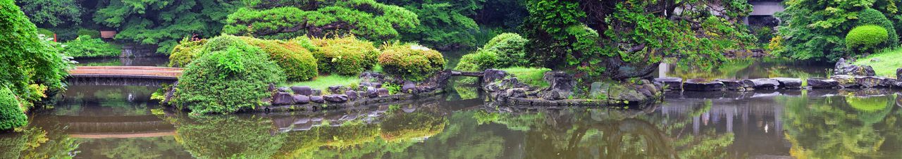 Panoramic view of a lake