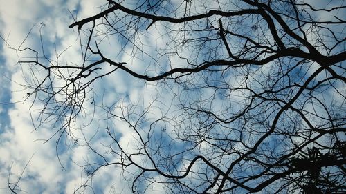 Low angle view of bare tree against cloudy sky