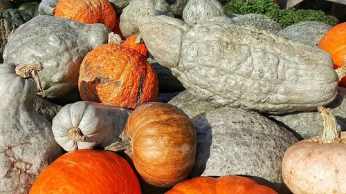 Full frame shot of pumpkins